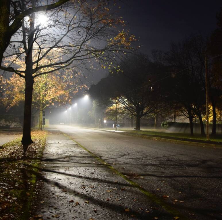 Foto del giorno 2025 dicembre