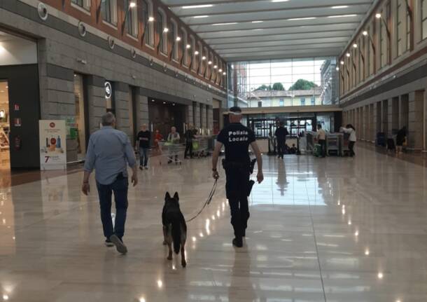 Generico 01 Dec 2025