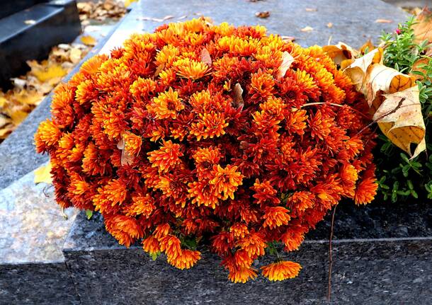 Generico 01 Dec 2025