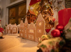 Generico 01 Dec 2025