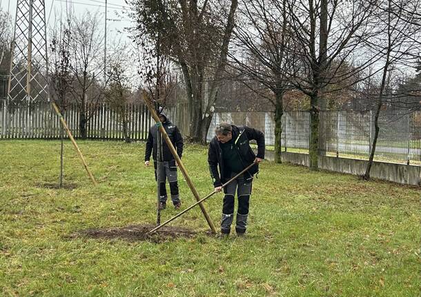 Generico 01 Dec 2025