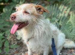 Generico 01 Dec 2025