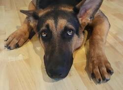 Generico 08 Dec 2025