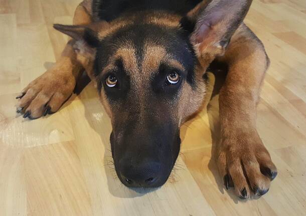 Generico 08 Dec 2025