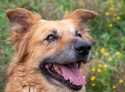 Generico 08 Dec 2025