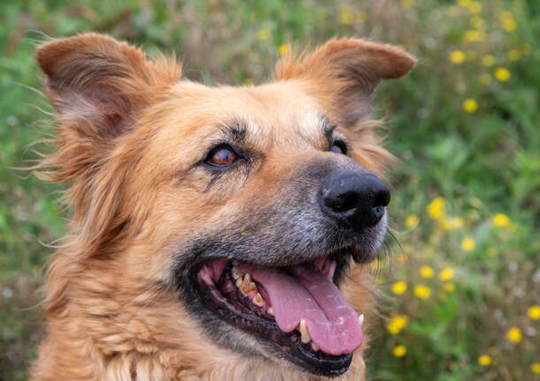 Generico 08 Dec 2025