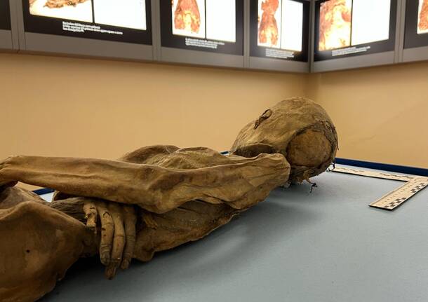 Generico 08 Dec 2025