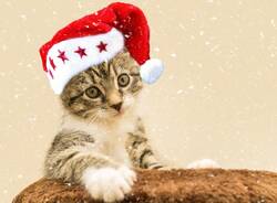 Generico 08 Dec 2025