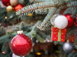 Generico 08 Dec 2025