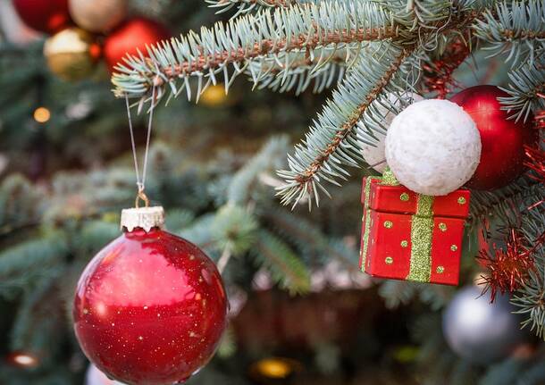 Generico 08 Dec 2025