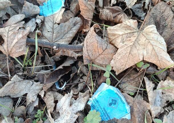 Generico 08 Dec 2025