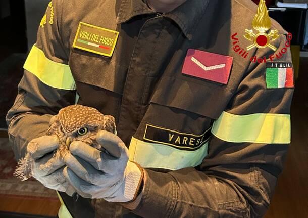 Generico 08 Dec 2025