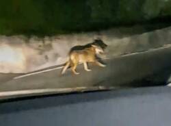 Generico 15 Dec 2025