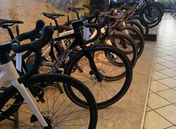 Generico 15 Dec 2025