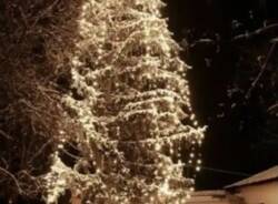 Generico 15 Dec 2025