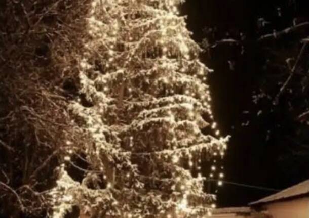 Generico 15 Dec 2025