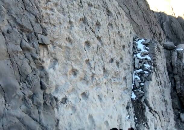 Generico 15 Dec 2025