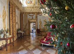 Generico 15 Dec 2025