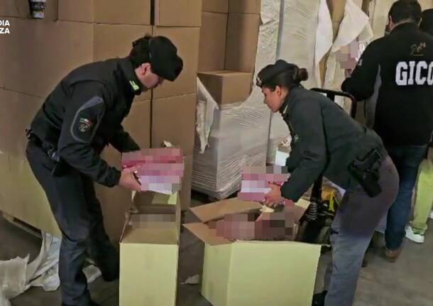 Generico 15 Dec 2025