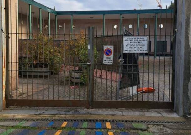 Generico 15 Dec 2025