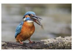 Generico 15 Dec 2025