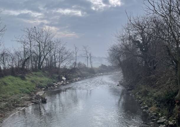 Generico 15 Dec 2025