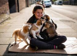 Generico 15 Dec 2025