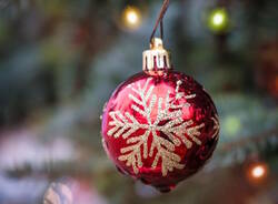 Generico 15 Dec 2025