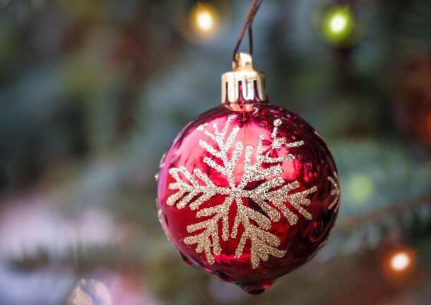 Generico 15 Dec 2025