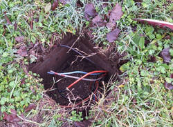 Generico 15 Dec 2025