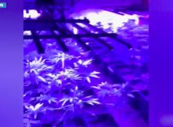 Generico 15 Dec 2025