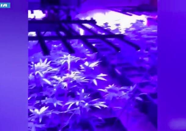 Generico 15 Dec 2025