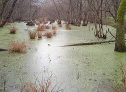 Generico 15 Dec 2025