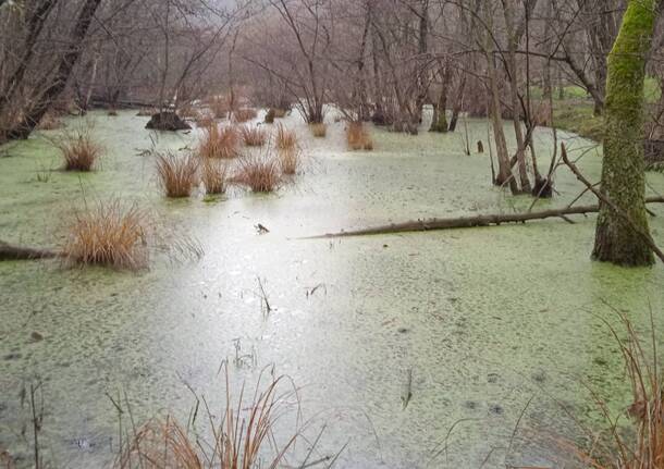 Generico 15 Dec 2025