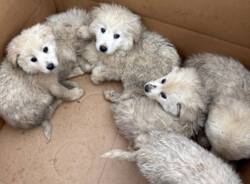 Generico 15 Dec 2025