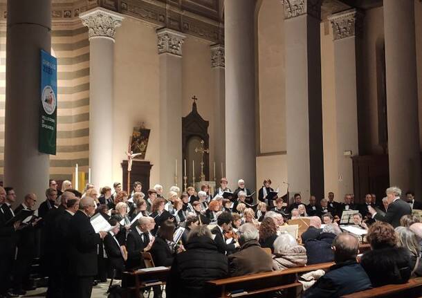 Generico 15 Dec 2025