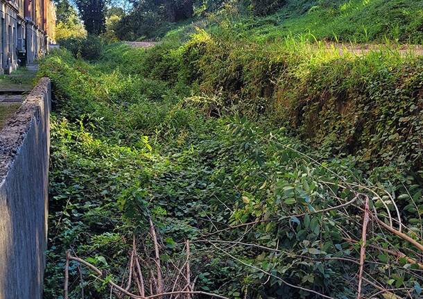 Generico 22 Dec 2025