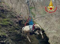 Generico 22 Dec 2025