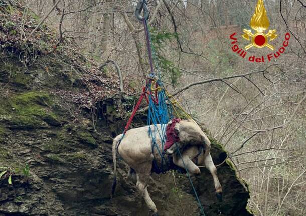 Generico 22 Dec 2025