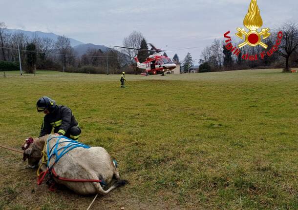 Generico 22 Dec 2025