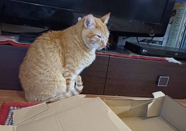 Generico 22 Dec 2025