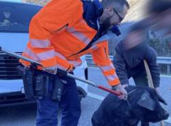 Generico 22 Dec 2025