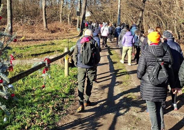 Ultimo dell’anno in cammino: una “Passeggiata dell’Amore” tutti insieme a Ispra per chiudere il 2025 in bellezza