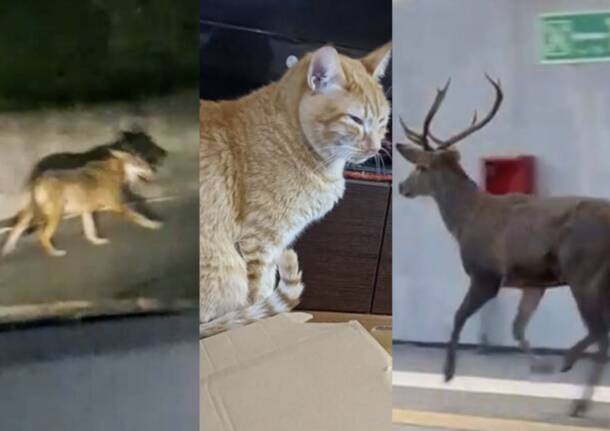 Generico 29 Dec 2025