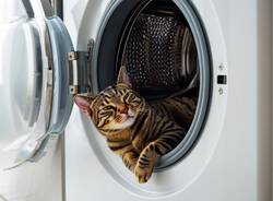 Generico 29 Dec 2025