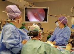 Generico 29 Dec 2025