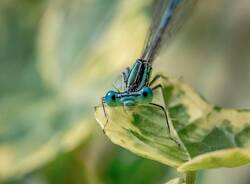 Generico 29 Dec 2025