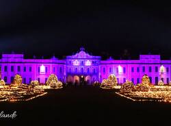 I Giardini Estensi illuminati per Natale 2025 nelle foto di Eugenio Orlando