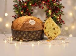 I Panettoni di Sara e Mariano: nove specialità per un Natale d'autore