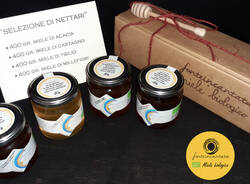 Il miele e i prodotti delle api di Casciago: tante idee natalizie a KM0